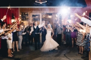 vineyard-wedding