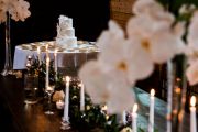 vineyard-wedding