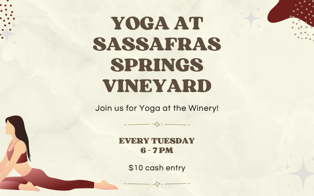 Yoga at Sassafras