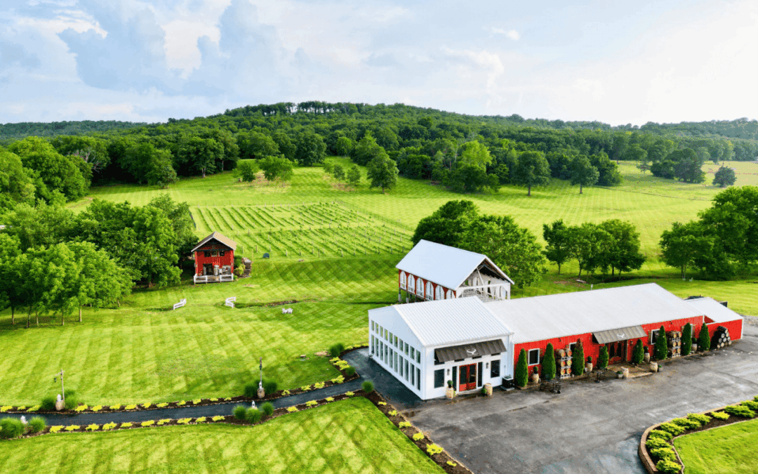 Tasting and Tour at Sassafras
