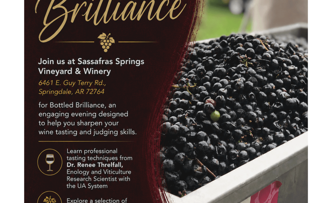 Bottled Brilliance Wine Class